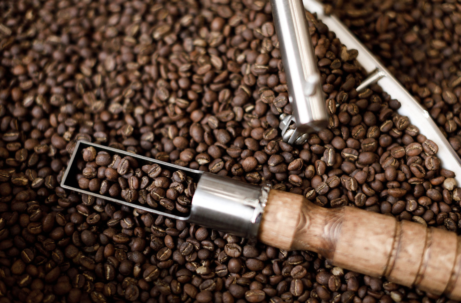 Grains de café - Loutsa